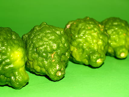 bergamota, Fruta, hoja, aislado, Tailandia, áspero, limón, natural, tropical, verde, herbario, orgánico, Lima, agrios, Asia, vegetal, tailandés, pelo, cocina, kaffir, hierba, ingrediente, antiguo, Fresco, comida, asiático, crudo, color verde, comida y bebida, frescura, alimentación saludable, adentro, fondo de color, fondo verde, foto de estudio, bienestar, de cerca, naturaleza muerta, pimienta, nadie, pimiento verde, pimiento, especia, reflexión, mesa, 2K, CC0, dominio público, libre de derechos