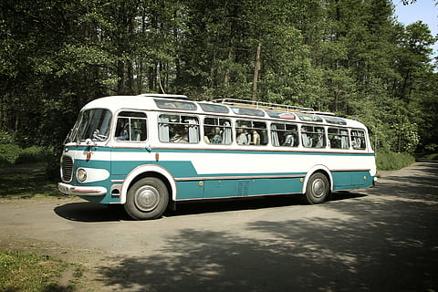 alt, Bus, Oldtimer, Jahrgang, retro, Reise, Transport, Fahrzeug, Auto, Sommer-, Straße, süß, Design, Transportmittel, Baum, Landfahrzeug, Pflanze, Tag, Kraftfahrzeug, Natur, keine Leute, stationär, Retro-Stil, Sonnenlicht, Parkplatz, Stadt, van - fahrzeug, 4K, CC0, gemeinfrei, lizenzfrei