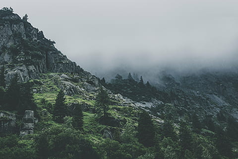 muntanya verda, alpí, penya-segat, núvols, sortida del sol, la llum del dia, boira, trist, herba, paisatge, muntanya, rock, muntanya rocosa, arbres, vall, desert, bosc, naturalesa, cap gent, arbre, dia, a l'aire lliure, escenics, planta, bellesa a la natura, escenics - natura, tranquil·litat, cel, medi ambient, escena tranquil·la, terra, escena no urbana, Serra, pi, arbre de coníferes, cim de muntanya, 5K, CC0, domini públic, lliure de regalies