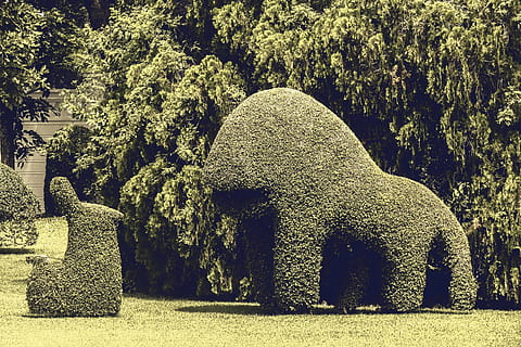 Park, Baum, Gras, Blätter, Sommer-, Landschaft, Natur, Wald, Garten, hell, Licht, Sonnenlicht, Tag, draussen, Blatt, Feld, sonnig, Umgebung, natürlich, Pflanze, keine Leute, Kunst und Handwerk, Kreativität, Skulptur, Wachstum, Darstellung, Statue, Friedhof, Topiary, Grab, Ruhe, Park - menschgemachter Raum, Stein, Schönheit in der Natur, draußen, Hecke, 5K, CC0, gemeinfrei, lizenzfrei