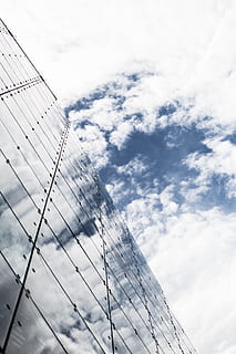 Himmel, Wolken, Gebäude, Delta, schwarz, Buchse, bw, Küste, Küsten, Donau, Deck, Boden, Fluss, Ufer, Schnee, Bäume, Wasser, Weiß, Winter, Sommer-, Natur, Eis, Blau, See, Reflexion, Sonnenaufgang, ze, Symbol, Tiere, erstarrte, Meer, Reinheit, Strand, scheuern, Flügel, Heil, wild, Wasservögel, Romantik, Schwan, Menschen, friedlich, Leben, heiter, Herde, Hafen, Möwe, Anmut, fliegend, schweben, Tierwelt, wolke - himmel, Flachwinkelansicht, Tag, keine Leute, gebaute Struktur, Kabel, draußen, die Architektur, große Höhe, Verbindung, Kunst, Kultur und Unterhaltung, Bewegung, Büro, Brücke, Bürogebäude außen, Brücke - künstliche Struktur, Schönheit in der Natur, weiße Farbe, 5K, CC0, gemeinfrei, lizenzfrei
