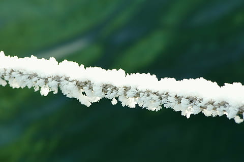 Winterimpression, zing temperaturer, koldt spor, natur, hvid, afdeling, sæson, forår, træ, tæt på, plante, vinter, frost, hvid farve, sne, kold temperatur, ingen mennesker, Frosset, is, dag, skønhed i naturen, miljø, fokus på forgrunden, udendørs, himmel, jord, Skov, istap, 5K, CC0, offentligt domæne, royaltyfrie