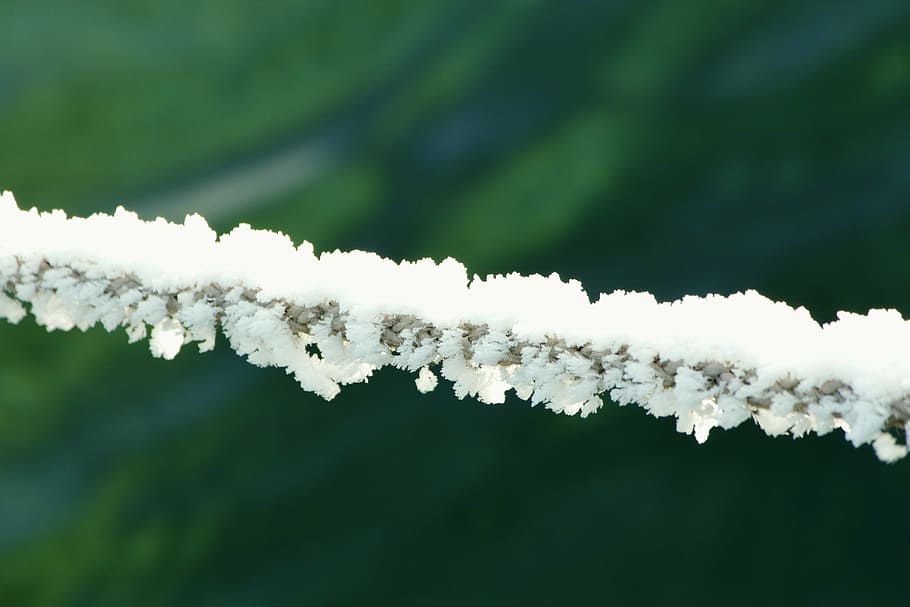 winterimpression, temperatura, pistes fredes, naturalesa, blanc, branca, temporada, primavera, arbre, primer pla, planta, hivern, gelades, Color blanc, neu, temperatura de fred, cap gent, congelat, gel, dia, bellesa a la natura, medi ambient, centrar-se en primer pla, a l'aire lliure, cel, terra, bosc, cargol, 5K