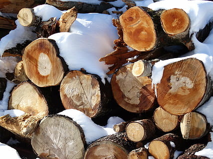 loki, pino, Holzstapel, talvi-, talvivarasto, lumi, metsitys, puutavara, polttopuut, puu, suuri joukko esineitä, puutavarateollisuus, metsäkadon, metsä, puu - materiaali, yltäkylläisyys, ei ihmisiä, luonto, koko kehys, taustat, fossiilisia polttoaineita, lähikuva, Woodpile, paloiteltu, 5K, CC0, public domain, rojaltivapaa