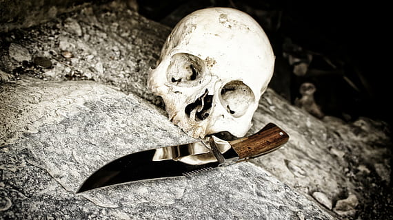 hvid, kranium, Brun, dolkkniv, grå, beton, overflade, kniv, knogle, død, menneskeskalle, rædsel, halloween, uhyggelig, død person, humant knogle, menneskeligt skelet, skelet, frygt, tæt på, stilleben, kropsdel, fortiden, historie, indendørs, mennesker, træ - materiale, 4K, CC0, offentligt domæne, royaltyfrie