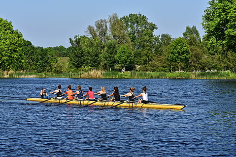 women, boat, daytime, shell, rowing, rowers, sport, coxed eight, coxswain, training, competition, river, outdoor, summer, sunny day, nautical vessel, transportation, water, oar, group of people, tree, plant, men, cooperation, nature, day, teamwork, adult, rowboat, mode of transportation, sculling, outdoors, sport rowing, 5K, CC0, public domain, royalty free