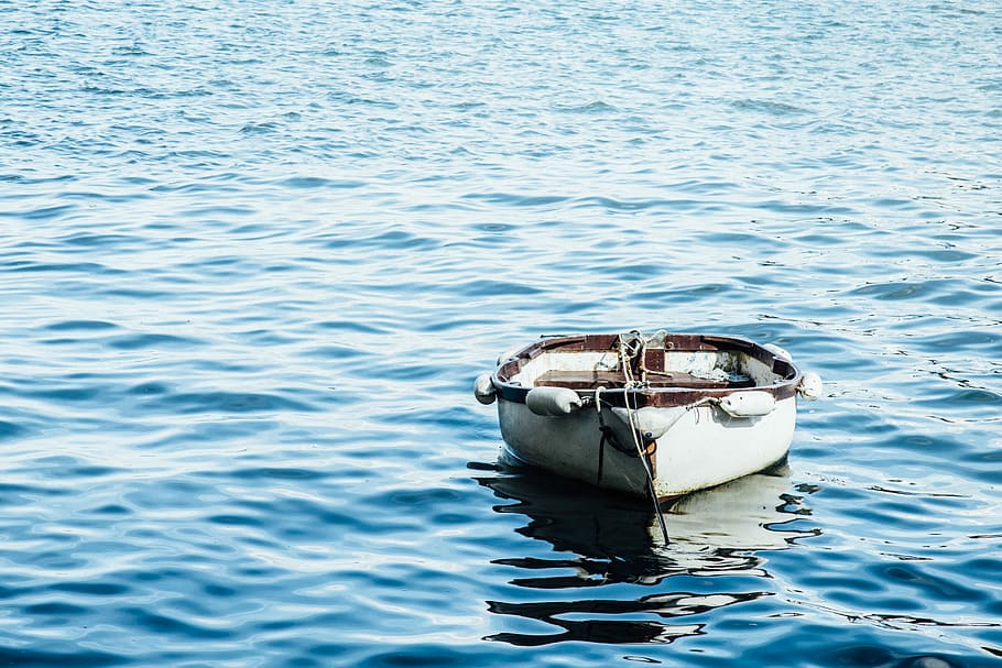 bianca, di legno, barca, corpo, acqua, canoa, oceano, riflessione, mare, blu, ondulazione, barca a remi, vuoto, vista sull'oceano, wafe, sole, porto, pesca, giorno, nessuno, natura, all'aperto, increspato, lungomare, animali allo stato selvatico, temi animali, vista dall'alto, luce del sole, animale, mezzi di trasporto, nave nautica, fauna selvatica, un animale, mammifero acquatico, delfino, marino, 5K