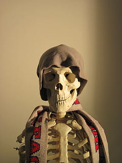 skeleton, cap, scarf, side light, fun, bone, skull, death, indoors, human skeleton, representation, human representation, wall - building feature, human body part, art and craft, studio shot, people, human skull, human bone, spooky, close-up, creativity, architecture, copy space, 4K, CC0, public domain, royalty free
