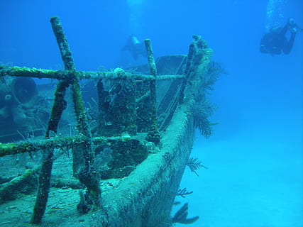 scuba divers, boat wreckage, Diving, Dive, Nassau, Bahamas, nassau, bahamas, underwater, undersea, sea, nautical vessel, ship, sunken, water, shipwreck, aquatic sport, sea life, adventure, sport, scuba diving, animals in the wild, nature, crash, swimming, transportation, animal wildlife, marine, ruined, deterioration, 2K, CC0, public domain, royalty free