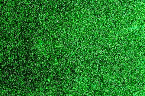campo, erba, prato, sfondo, luminosa, pulito, ambiente, da sopra, verde, terra, crescita, all'aperto, pianta, vivace, cortile, colore verde, sfondi, fotogramma intero, sport, nessuno, strutturato, natura, avvicinamento, campo da gioco, giorno, direttamente sopra, calcio, fogliame, sport di squadra, modello, fogliame lussureggiante, torba, effetto strutturato, 2K, CC0, dominio pubblico, privo di copyright