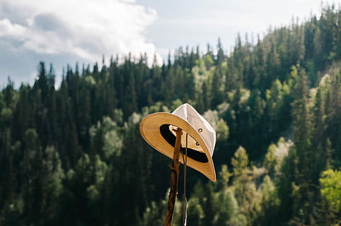 Brun, hat, top, træ-, Pind, dagtimerne, grå, sort, bagagerum, Skov, spiddet, skab, rejse, folk, fyrretræ, Camping, udforske, træ, plante, natur, jord, dag, ingen mennesker, bjerg, sky - himmel, himmel, miljø, udendørs, fokus på forgrunden, scenics - natur, træ - materiale, grøn farve, landskab, løv, ikke-urbane scene, skønhed i naturen, nåletræ, fyrreskov, 4K, CC0, offentligt domæne, royaltyfrie