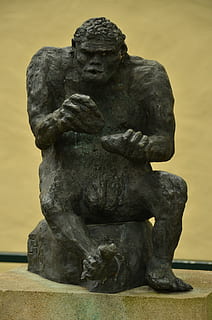 singe, homme, homme singe, évolution, développement, image, statue, sculpture, art et Artisanat, représentation, la créativité, ressemblance masculine, personne, représentation humaine, artisanat, se concentrer sur le premier plan, journée, la nature, fermer, vieux, architecture, ressemblance féminine, sculpture - produit artisanal, primate, 4K, CC0, domaine public, libre de droits