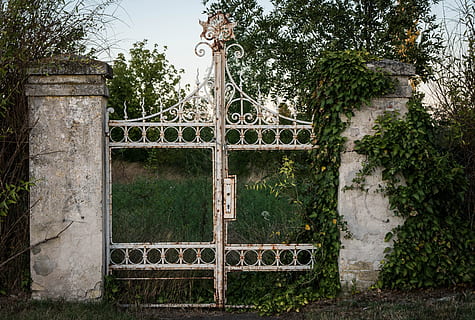 white, metal gate, green, trees, goal, old, old gate, input, iron gate, nostalgia, architecture, home, used, antique, leave, broken, transience, mystical, decay, lost places, plant, built structure, tree, no people, day, building exterior, nature, gate, building, closed, growth, abandoned, outdoors, protection, security, metal, damaged, safety, deterioration, wrought iron, 5K, CC0, public domain, royalty free