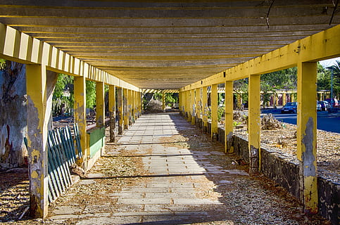 allié, vieux, des pistes, architecture, direction, structure construite, la voie à suivre, colonne architecturale, journée, perspective décroissante, personne, dans une rangée, la nature, vide, sentier, lumière du soleil, bois - matériau, colonnade, arcade, en plein air, bâtiment, couloir, plafond, 4K, CC0, domaine public, libre de droits
