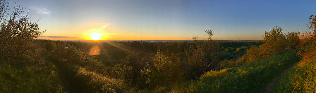 panorama, saulėlydis, dangus, pavasarį, pavasaris, kraštovaizdį, saulė, panoraminis, vaizdingas, ramus, debesis, saulėtas, horizonto, saulės šviesa, vakare, lauke, susiliejimas, scenoje, šviesa, peizažas, spalvinga, walla walla, lapija, turizmą, geltona, šviesus, augalų, grožis gamtoje, ramybė, objektyvo atspindys, ramioje scenoje, medis, vaizdai - gamta, pobūdį, aplinką, žemės, nėra žmonių, ne miesto scenoje, 8K, CC0, Viešasis domenas, nemokamai