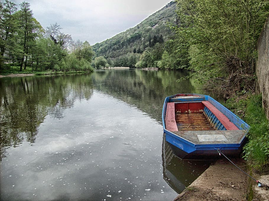 münster, Germania, pădure, copaci, barcă, râu, apă, hdr, reflecții, cer, nori, natură, in afara, munţi, navă nautică, mijloc de transport, lac, transport, plantă, copac, zi, liniște, frumusețe în natură, scenice - natura, amarate, reflecţie, nici o persoana, o scenă liniștită, scenă non-urbană, Munte, în aer liber, barcă cu vâsle, barca de agrement, 2K