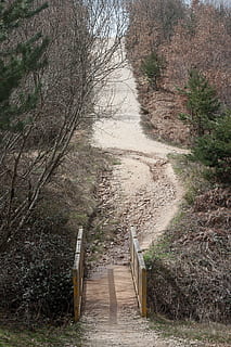 departe, pod, natură, web, lemn, pod pentru pietoni, pantă, Munte, Boardwalk, trecere, podeț, copac, plantă, calea de urmat, direcţie, cărare, nici o persoana, pădure, zi, teren, liniște, creştere, o scenă liniștită, arbore gol, scenă non-urbană, arhitectură, în aer liber, scenice - natura, lemn - material, frumusețe în natură, 1080P, CC0, domeniu public, fără drepturi de autor