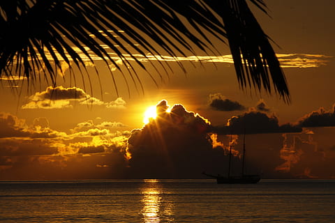Ocean, Sea, Sailing Boat, Sunset, Rays, ocean, sea, sunlight, beautiful, water, evening, golden, silhouette, palm tree, reflection, sky, beauty in nature, scenics - nature, cloud - sky, nature, orange color, tree, tropical climate, waterfront, tranquil scene, tranquility, idyllic, no people, sun, outdoors, 4K, CC0, public domain, royalty free
