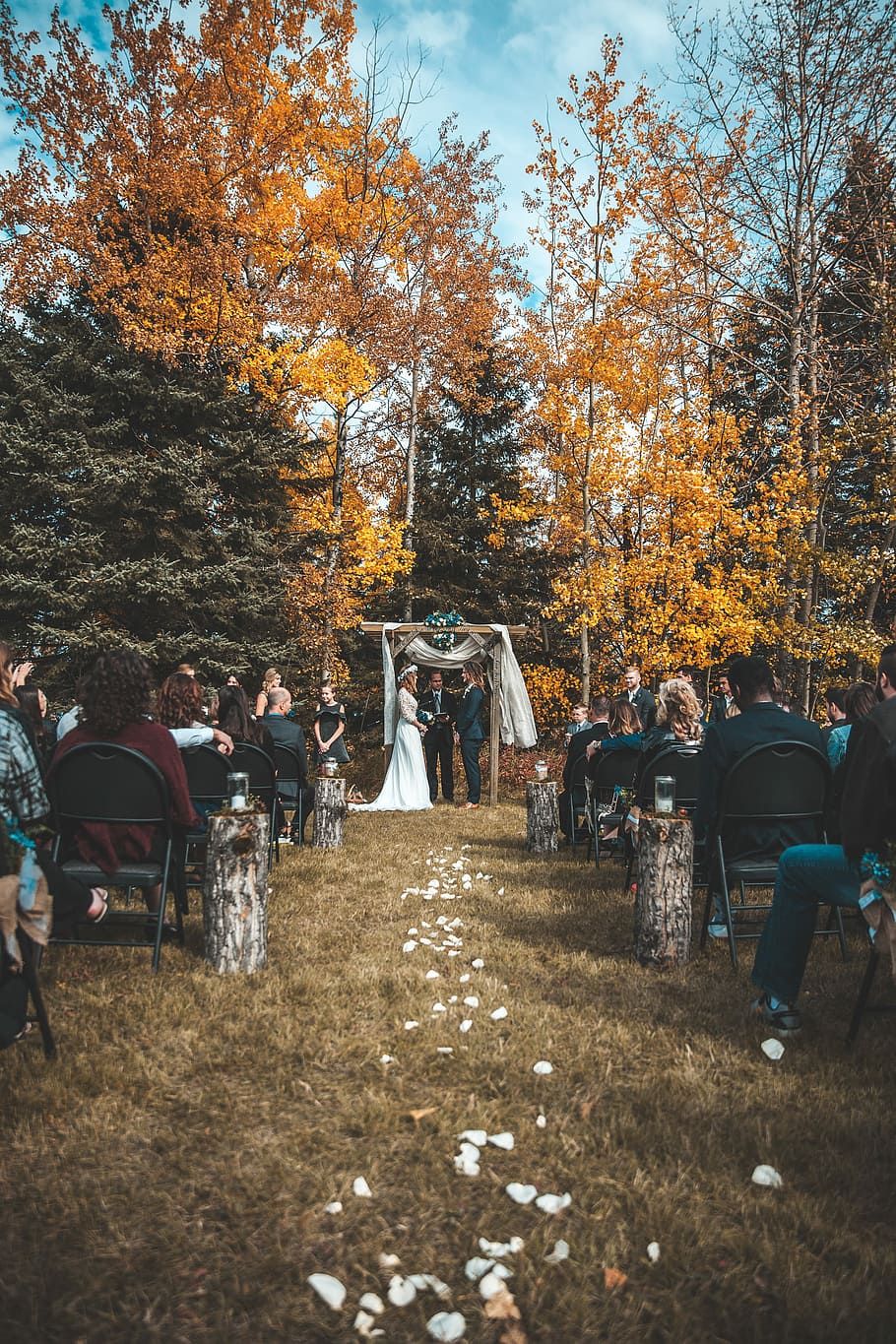 cerimonia matrimoniale, accanto, cadere alberi, giorno, uomo, donna, in piedi, pergolato, sacerdote, nozze, autunno, rustico, giorno del matrimonio, sposa, sposo, cerimonia, fogliame, foresta, vestito da sposa, bianca, petali, corridoio, albero, pianta, persone reali, natura, modificare, uomini, folla, gruppo di persone, colore arancione, stili di vita, all'aperto, donne, terra, attività di svago, grande gruppo di persone, foglia, bellezza nella natura, parco, 4K