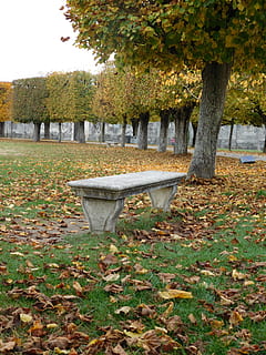 autunno, le foglie, natura, foglia d'albero, fogliame, foglia rossa, albero, panchina, pierre, foglia, all'aperto, modificare, giorno, pianta, parte vegetale, parco, crescita, posto a sedere, parco - spazio creato dall'uomo, tronco d'albero, tronco, la tranquillità, caduta, terra, nessuno, erba, panchina del parco, 4K, CC0, dominio pubblico, privo di copyright