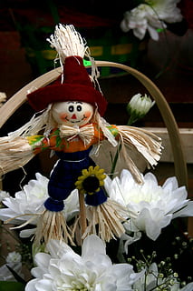 espantaocells, flor, blanc, primavera, art i artesania, celebració, representació, creativitat, representació humana, decoració, festa, artesania, cap gent, semblança masculina, religió, Nadal, primer pla, planta amb flors, planta, a l'interior, creença, adorn de Nadal, 4K, CC0, domini públic, lliure de regalies