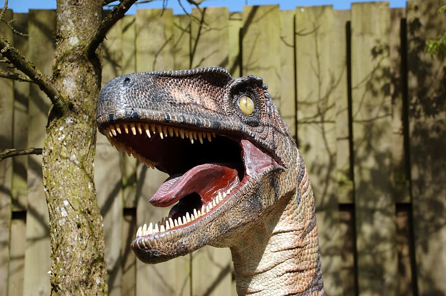 marró, gris, dinosaures de la mida de la vida, durant el dia, dinosaure, dents, depredador, juràssic, bèstia, perillós, dino, temes d'animals, animal, part del cos dels animals, arbre, un animal, boca oberta, boca, centrar-se en primer pla, fauna animal, cap gent, boca d’animals, dents d’animals, representació animal, rèptil, naturalesa, extingit, a l'aire lliure, dia, primer pla, cap d’animals, agressió, ominós, 2K