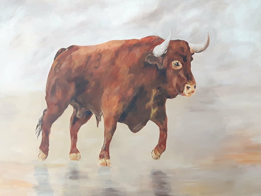 toró, raudona, drobė, techninis, sumaišyti, 97cm, x, 130 cm, galvijai, karvė, gyvūnų temos, vienas gyvūnas, gyvulius, lauke, dieną, nėra žmonių, pobūdį, vanduo, žinduolių, gyvūnas, Naminiai gyvūnai, vidaus, bulius - gyvūnas, naminių galvijų, stovėti, augintiniai, visas ilgis, stuburiniai, portretas, taurus, žolėdžius, 4K