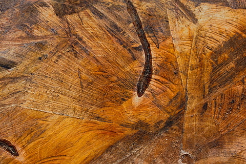 nature, background, pattern, close, texture, tree, color, old, environment, wood, geology, structure, art, rau, smooth, arts crafts, warm, of course, flame, wooden structure, backgrounds, brown, full frame, wood - material, textured, no people, close-up, rough, day, outdoors, natural pattern, wood grain, flooring, solid, forest, tree ring, 5K, CC0, public domain, royalty free