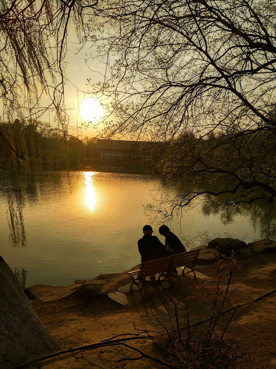 的 散步, dos, gent, assegut, banc, de cara, cos, aigua, posta de sol, parella, amor, llac, silueta, romàntic, romanç, paisatge, tons grocs, cel groc, arbres, parc, moment, privadesa, privat, arbre, persones reals, dues persones, planta, cel, homes, reflexió, naturalesa, unió, activitat d'oci, tranquil·litat, bellesa a la natura, parella - relació, escena tranquil·la, relaxació, a l'aire lliure, sol, emoció positiva, 5K