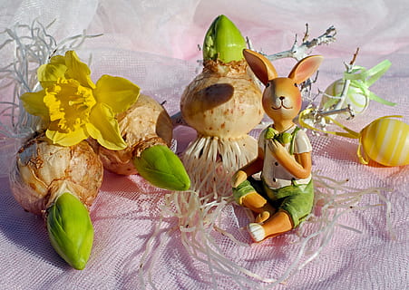 konijn beeldje, fruit, paashaas, Pasen, figuur, haas, zittend, schattig, hyacint bollen, gele narcis, bloesem, bloeien, ei, kleurrijk, Pasen decoratie, gelukkig Pasen, tafeldecoratie, wenskaart, decoratie, de lente, voedsel, paasei, eten en drinken, dierlijke representatie, binnenshuis, vakantie, bloem, viering, versheid, vertegenwoordiging, bloeiende plant, geen mensen, fabriek, natuur, blad, paascake, lente, 4K, CC0, publiek domein, royaltyvrij