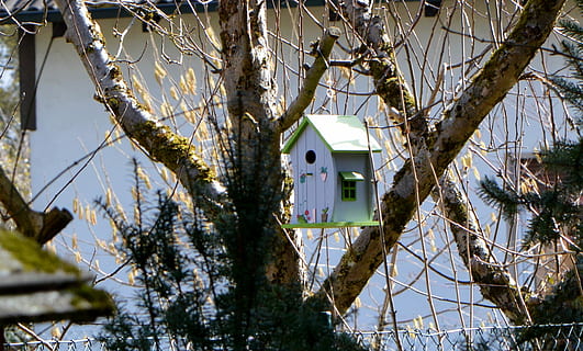 voliere, nesting, boks, træ, have, nesting kasse, træ, farvet, hus, bygget struktur, bygning udvendig, dag, arkitektur, afspejling, plante, birdhouse, afdeling, natur, ingen mennesker, træstamme, bagagerum, hængende, udendørs, lav vinkel visning, bygning, vækst, fokus på forgrunden, træ - materiale, himmel, 2K, CC0, offentligt domæne, royaltyfrie