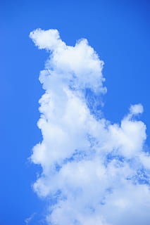 Wolken, Wolke, Berg, Himmel, Wolkenberg, wolkig, Wolkenbildung, Blau, Weiß, Kumuluswolken, Kumulus, Wetter, Wolke von Haufen von, wolke - himmel, Wolkengebilde, Hintergründe, weiße Farbe, Flachwinkelansicht, Schönheit in der Natur, Ruhe, Szenen - Natur, ruhige Szene, Natur, keine Leute, Tag, idyllisch, draußen, Vollbild, Weichheit, flauschige, Sonnenlicht, Meteorologie, 5K, CC0, gemeinfrei, lizenzfrei