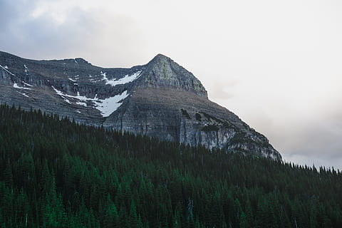 verd, arbres, clar, muntanya, foto de paisatge, roca grisa, muntanya de roca, cel blanc, núvol, bosc, arbre, de fulla perenne, naturalesa, paisatge, escenics, a l'aire lliure, alberta, Serra, Muntanyes rocoses, Canadà, bellesa a la natura, neu, cel, paisatges, dia, cap gent, escenics - natura, planta, tranquil·litat, escena tranquil·la, temperatura de fred, medi ambient, hivern, núvol - cel, arbre de coníferes, terra, escena no urbana, pi, bosc de pi, muntanya nevada, cim de muntanya, formació, 4K, CC0, domini públic, lliure de regalies