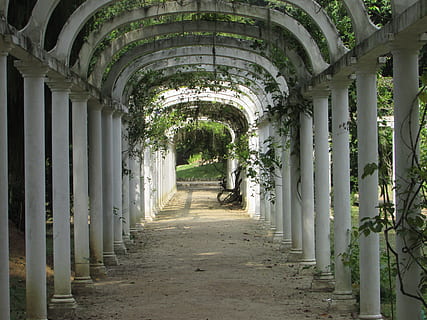 arquitectura, antiguo, verde, en una fila, perspectiva decreciente, arco, columna arquitectonica, corredor, historia, el camino a seguir, dirección, estructura construida, día, planta, nadie, arcada, sendero, edificio, naturaleza, al aire libre, vacío, crecimiento, columnata, largo, 4K, CC0, dominio público, libre de derechos