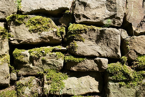pietre, pietra, macro, sfondo, tumulo, ciottolo, natura, trama vegetale, Diviso, fra, fotogramma intero, roccia, solido, sfondi, strutturato, roccia - oggetto, nessuno, giorno, luce del sole, ruvido, modello, all'aperto, muschio, avvicinamento, formazione rocciosa, architettura, struttura costruita, pianta, parete, muro di pietra, eroso, 4K, CC0, dominio pubblico, privo di copyright