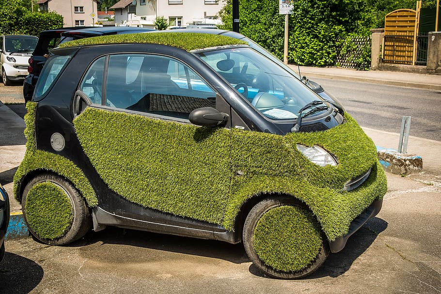 smart, græs, auto, siv, græsplæne maling, overflade, bil, land køretøj, gade, transportmidler, transportform, motor køretøj, by, grøn farve, dag, vej, plante, arkitektur, natur, bygning udvendig, udendørs, bygget struktur, ingen mennesker, sollys, rejse, hjul, 4K