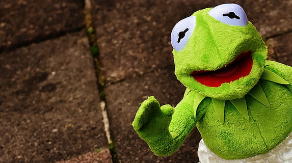 kermit broasca, Kermit, broască, amuzant, val, distracţie, jucarie moale, animal impaiat, ursuleț, drăguţ, Culoarea verde, a închide, animale tematice, nici o persoana, animal, să se concentreze asupra primelor elemente, reprezentare, animale în sălbăticie, animale sălbatice, reprezentarea animalelor, zi, natură, un animal, jucărie, animale vertebrate, în aer liber, vedere în unghi mare, jucarie de plus, teren, târâtoare, 2K, CC0, domeniu public, fără drepturi de autor