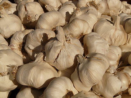 ajo, agudo, aromático, tubérculo, sustancial, oler, planta medicinal, vegetales, blanco, comida, especia, comer, hierba, comida y bebida, fotograma completo, antecedentes, ingrediente, alimentación saludable, bienestar, frescura, vegetal, nadie, alimentos crudos, cabeza de ajo, de cerca, naturaleza muerta, gran grupo de objetos, adentro, el color blanco, mercado, 2K, CC0, dominio público, libre de derechos