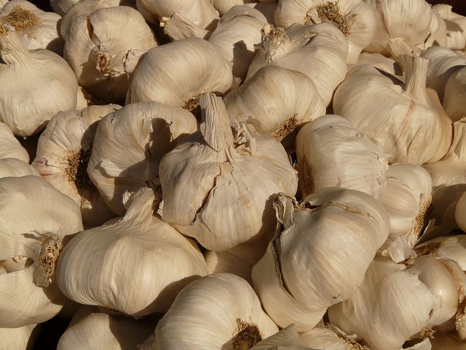All, agut, aromàtic, tubercle, substancial, olor, planta medicinal, verdures, blanc, menjar, espècia, herba, menjar i beguda, marc complet, fons, ingredient, alimentació saludable, benestar, frescor, vegetals, cap gent, aliments crus, bulb d’all, primer pla, natura morta, gran grup d'objectes, a l'interior, Color blanc, mercat, 2K