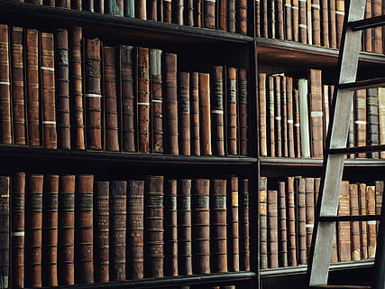 knowledge is key, encyclopedias on shelf, library, book, read, reading, ladder, old books, knowledge, trinity, shelf, bookshelf, education, publication, large group of objects, arrangement, abundance, full frame, backgrounds, in a row, indoors, no people, still life, order, literature, learning, collection, choice, hardcover book, 4K, CC0, public domain, royalty free