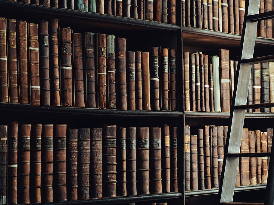 pengetahuan adalah kunci, ensiklopedi di rak, Perpustakaan, Book, Baca baca, bacaan, tangga, buku-buku tua, pengetahuan, Trinitas, rak, rak buku, pendidikan, publikasi, sekelompok besar objek, pengaturan, kelimpahan, bingkai penuh, latar belakang, berturut-turut, dalam ruangan, tidak ada orang, masih hidup, memesan, literatur, belajar, koleksi, pilihan, buku hardcover, 4K