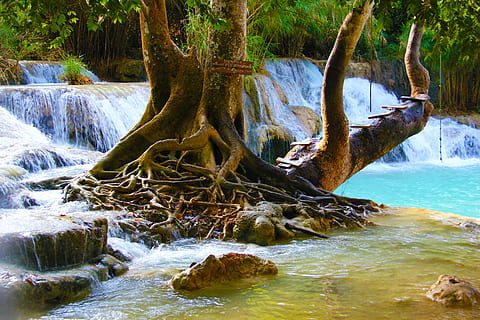 arbre, riu, posta de sol, cascada, piscina, aigua, naturalesa, paisatge, bosc, verd, caure, corrent, parc, viatjar, arbres caiguts, escènic, salvatge, natural, rock, jungla, medi ambient, tropical, fullatge, flux, fresc, paradís, Tailàndia, a l'aire lliure, blau, muntanya, rierol, bellesa a la natura, planta, moviment, escenics - natura, sòlid, rock - object, tronc de l'arbre, cap gent, aigua que flueix, terra, dia, tronc, tranquil·litat, que flueix, rierol: aigua que flueix, 5K, CC0, domini públic, lliure de regalies