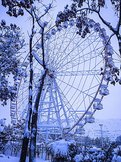 cel, arbre, neu, fred, hivern, parc, a l'aire lliure, iran, planta, temperatura de fred, naturalesa, branca, cap gent, vista d’angle baix, roda de ferris, passeig pel parc d’atraccions, bellesa a la natura, dia, Color blanc, Parc d'atraccions, cobertura, creixement, 4K, CC0, domini públic, lliure de regalies