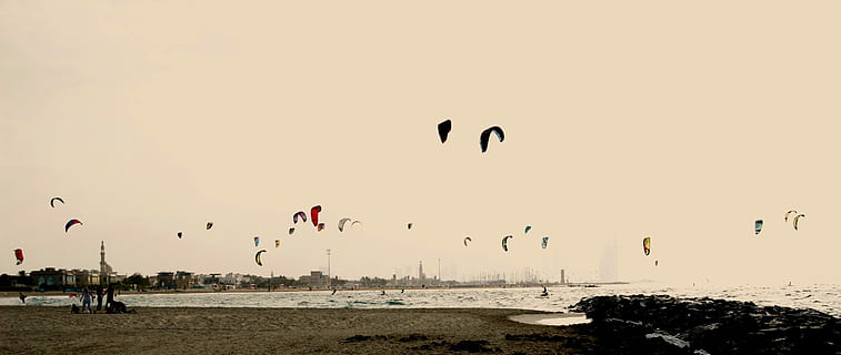 volador, aves, suelo, cometa, volar, playa, viento, puesta de sol, Ventoso, dubai, mosca del kite, color, emirato, agua, cielo, animales en la naturaleza, mar, naturaleza, pájaro, tierra, fauna animal, vertebrado, grupo de animales, animal, temas de animales, gran grupo de animales, belleza en la naturaleza, ambiente, al aire libre, bandada, 5K, CC0, dominio público, libre de derechos