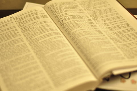 bible, testament, slovo, rezervovat, verš, náboženský, náboženství, křesťan, víra, Bůh, křesťanství, noviny, uvnitř, nikdo, detail, den, vydání, papír, otevřeno, stránka, stálý život, sdělení, vzdělání, text, selektivní zaměření, stůl, vysoký úhel pohledu, západní skript, učení se, odbornost, 4K, CC0, veřejná doména, bez autorských práv