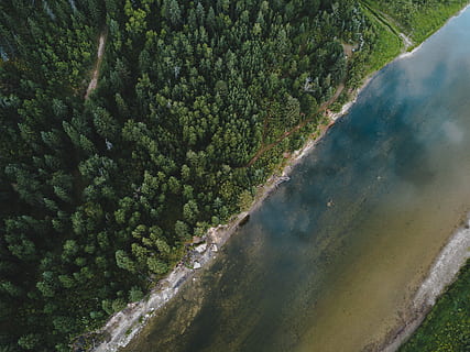 fugle øje se billede, grøn, træer, ved siden af, sø, top-view fotografering, fyrretræer, legeme, vand, drone, antenne, træ, Skov, minimal, landskab, udendørs, jorden, forår, sommer, flod, Canada, vand side, havsiden, kystnære, grønne, stedsegrønne, vej, skønhed i naturen, plante, grøn farve, jord, scenics - natur, natur, rolig scene, dag, ro, ikke-urbane scene, bjerg, høj vinkel visning, miljø, luftfoto, ingen mennesker, vækst, vulkansk krater, 4K, CC0, offentligt domæne, royaltyfrie