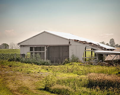 Scheune, rustikal, Scheunen, Ohio, digitale Kunst, ländlich, szenisch, Land, Landschaft, Schuppen, wirft, Bauernhof, Bauernhöfe, Landwirtschaft, landwirtschaftlich, Bauernhaus, champaign, Bezirk, Americana, Foto, fotografieren, Struktur, Strukturen, sturgell, William Sturgell, bill sturgell, historisch, Wohnkultur, corral, Gebäude, Silo, Wolken, Himmel, Baum, Bäume, wolkig, Unkraut, Champaign County, Urbana, gebaute Struktur, die Architektur, Pflanze, Gebäudehülle, Gras, Natur, keine Leute, verlassen, Feld, Tag, obsolet, draußen, ländliche Szene, heruntergewirtschaftet, 4K, CC0, gemeinfrei, lizenzfrei