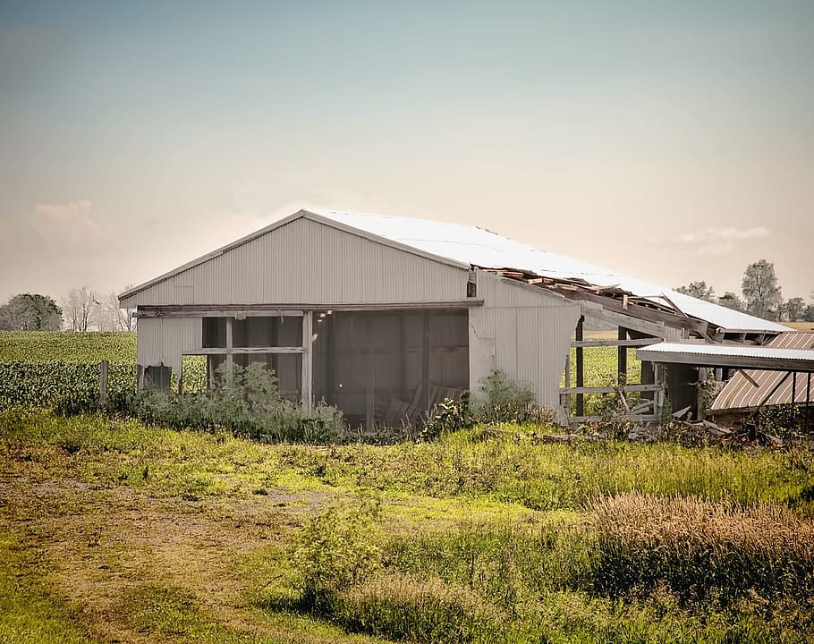 lade, rustik, staldene, ohio, digital kunst, landdistrikterne, naturskøn, Land, landskabet, landskab, skur, skure, gård, gårde, landbrug, landbrugs, stuehus, Champaign, region, americana, Foto, fotografi, struktur, strukturer, sturgell, william sturgell, bill sturgell, historisk, hjem indretning, corral, bygninger, silo, skyer, himmel, træ, træer, overskyet, ukrudt, champaign county, Urbana, bygget struktur, arkitektur, plante, bygning udvendig, græs, natur, ingen mennesker, forladt, Mark, jord, dag, bygning, forældet, udendørs, landlige scene, kørt ned, 4K