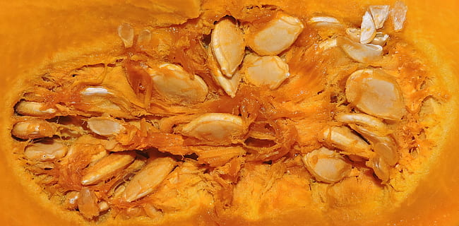 seed, pumpkin, inside, yellow, food, food and drink, close-up, indoors, freshness, no people, wellbeing, healthy eating, orange color, shape, full frame, directly above, seafood, geometric shape, studio shot, snack, meat, ready-to-eat, still life, temptation, crockery, 2K, CC0, public domain, royalty free