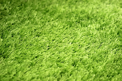 Makro, Teppich, Textilien, Hintergrund, Struktur, Stoff, Farbe, Muster, grüne Farbe, Pflanze, Vollbild, Hintergründe, Gras, Feld, keine Leute, Land, selektiver Fokus, Tag, Natur, Wachstum, Schönheit in der Natur, draußen, Nahansicht, Umgebung, Laub, Ruhe, texturiert, Landschaft, 5K, CC0, gemeinfrei, lizenzfrei